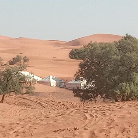 Bivouac Camel Trips Hotel Merzouga Exterior foto