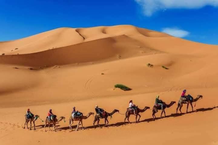 Bivouac Camel Trips Hotel Merzouga Exterior foto