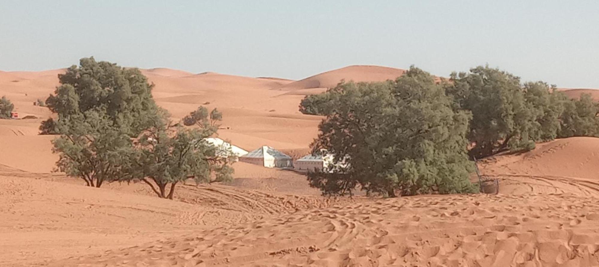 Bivouac Camel Trips Hotel Merzouga Exterior foto