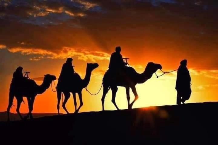 Bivouac Camel Trips Hotel Merzouga Exterior foto