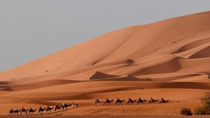 Bivouac Camel Trips Hotel Merzouga Exterior foto