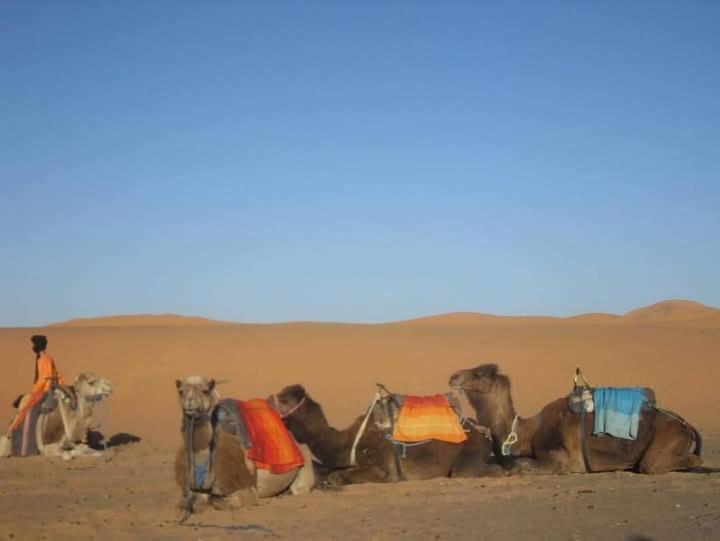 Bivouac Camel Trips Hotel Merzouga Exterior foto