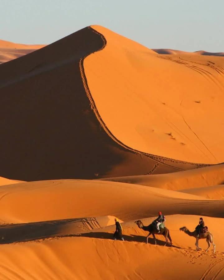 Bivouac Camel Trips Hotel Merzouga Exterior foto